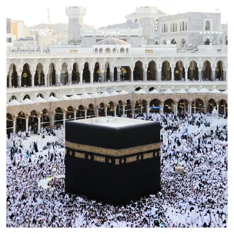 Sagir Isitme UMRE TR 08 1